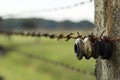 Auschwitz Birkenau Royalty Free Stock Photo