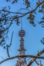 Detailed view of BuÃÂ§aco palace tower in the middle of trees Royalty Free Stock Photo