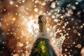 A detailed view of a champagne bottle, showcasing its label, cork, and the sparkling wine inside, Vintage French Champagne bottle Royalty Free Stock Photo