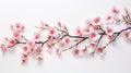 a detailed view of cherry blossom branches on white background