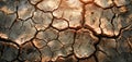 Close-Up of Cracked Desert Surface. Generative AI
