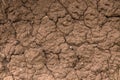 Detailed view of dry and cracked earth, pieces of roots and dry mud, reddish and muddy earth Royalty Free Stock Photo