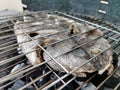 Detailed view of fish grilled over a burning coal fire, healthy and typically Mediterranean food Royalty Free Stock Photo