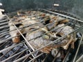 Detailed view of fish grilled over a burning coal fire, healthy and typically Mediterranean food Royalty Free Stock Photo