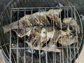 Detailed view of fish grilled over a burning coal fire, healthy and typically Mediterranean food Royalty Free Stock Photo