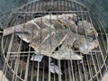 Detailed view of fish grilled over a burning coal fire, healthy and typically Mediterranean food Royalty Free Stock Photo