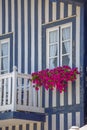 Detailed view of front facade windows and balcony with flowers of typical Costa Nova beach house Royalty Free Stock Photo