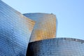 Detailed view of The Guggenheim Museum in Bilbao, Biscay, Basque