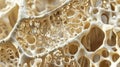 Macro shot reveals intricate bone structure, showcasing spongy texture and internal organs, Ai Generated