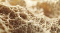 Macro shot reveals intricate bone structure, showcasing spongy texture and internal organs, Ai Generated