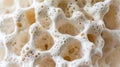 Macro shot reveals intricate bone structure, showcasing spongy texture and internal organs, Ai Generated