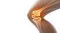 Understanding the human knee joint, a comprehensive view of its anatomy, function, and importance in mobility Royalty Free Stock Photo