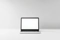 Detailed view of laptop screen with empty displays isolated from the background, flat view of computer screen Royalty Free Stock Photo