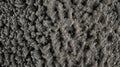 Detailed View of Lightweight Foam Structure with Porosity Royalty Free Stock Photo