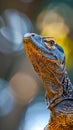 A detailed view of a lizard's head with intricate scales, the creature's attentive gaze set against a soft-focus