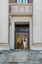 Detailed view of the main Harvard University library entrance. Royalty Free Stock Photo