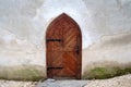 Detailed view of a medieval door. Royalty Free Stock Photo