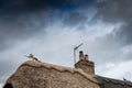 Detailed view of a new thatched roof within an english village. A signature straw hare riding a broomstick is visible. Royalty Free Stock Photo