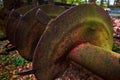 Detailed view of an old rusty harrow standing unused on a storage place in the forest