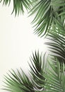 Card border: Close-Up of Palm Tree Against White Background Royalty Free Stock Photo