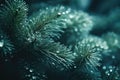 A detailed view of a pine tree branch with sparkling water droplets after a rain shower, Macro christmas tree background, AI Royalty Free Stock Photo