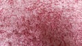 Detailed view of pink fabric texture background. Traditional ethnic texture carpet design. Royalty Free Stock Photo