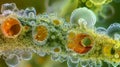 Detailed view of a plant pollen tube showcasing the complex mechanisms and organelles responsible for cell division and