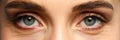 Detailed view of pretty amazing female eyes Royalty Free Stock Photo