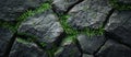 Close-Up of Rock With Plants Royalty Free Stock Photo