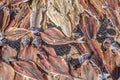 Detailed view of sardines drying in the sun on fishing nets Royalty Free Stock Photo