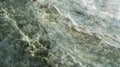 Detailed View of Smooth Polished Soapstone with Natural Green and White Textures for Design