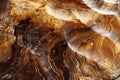 Close Up of Intricate Wood Grain Pattern Royalty Free Stock Photo