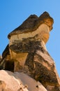 Detailed view top of the famous Fairy Chimneys or Multihead stone mushrooms in Pasaba Valley near Goreme. Blue sky background. Royalty Free Stock Photo