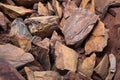 detailed view of unearthed ancient pottery shards Royalty Free Stock Photo