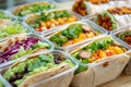 A detailed view of a variety of delicious food items arranged neatly on a tray placed on a table, Variety of vegan wraps in Royalty Free Stock Photo