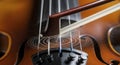 Violin Strings and Bow Closeup Royalty Free Stock Photo