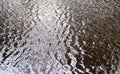 Detailed view on a water surface reflecting the blue sky and some sunlight Royalty Free Stock Photo