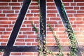 Detailed view of weathered half-timbering brick wall textures found in northern germany Royalty Free Stock Photo