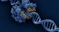 Cas9 molecular machinery targets human DNA Royalty Free Stock Photo