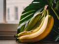 Detailed vivid hyperrealistic bananas captivate cozy atmosphere
