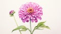 Detailed Watercolor Illustration Of A Pink Flower With Hyperrealistic Blooms Royalty Free Stock Photo