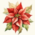 Detailed Watercolor Painting Of Poinsettia Flower - Xmaspunk Terracotta Royalty Free Stock Photo