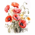 Detailed Watercolor Poppy Bouquet On White Background