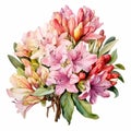 Detailed Watercolor Rhododendron Bouquet: Naturalistic Botanical Art