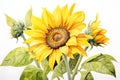 Detailed watercolor sunflower isolated on white background by Generative AI