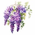 Detailed Watercolor Wisteria Bouquet In Naturalistic Botanical Style