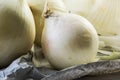 Detailed white onions on paper - close up macro shot