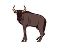 Detailed Wildebeest with Standing Gesture Illustration Royalty Free Stock Photo