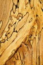 Detailed wooden texture 1
