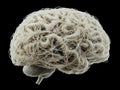 Detailed woven white brain structure with fibrous texture representing the intricate complexity of neural pathways and advanced